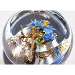 Paul J. Stankard Floral, Orb & Root Person Oblate Paperweight